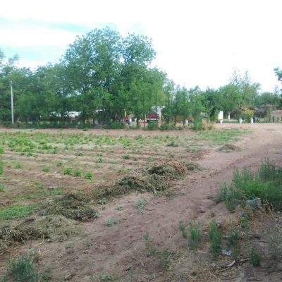 Pequeña Propiedad con escrituras, Area Urbana de Villa Juarez, Dgo.,