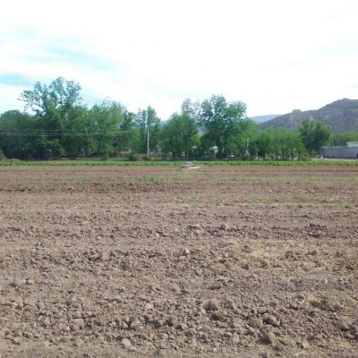 Pequeña Propiedad con escrituras, Area Urbana de Villa Juarez, Dgo.,