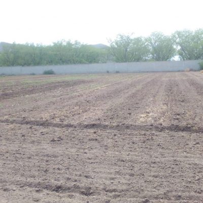 Pequeña Propiedad con escrituras, Area Urbana de Villa Juarez, Dgo.,