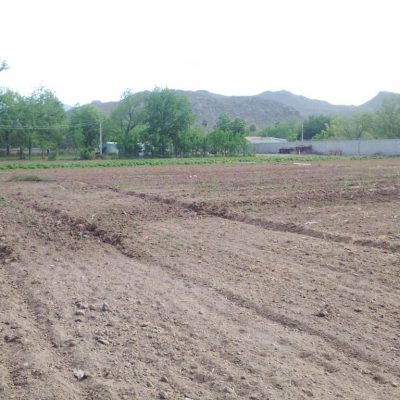 Pequeña Propiedad con escrituras, Area Urbana de Villa Juarez, Dgo.,