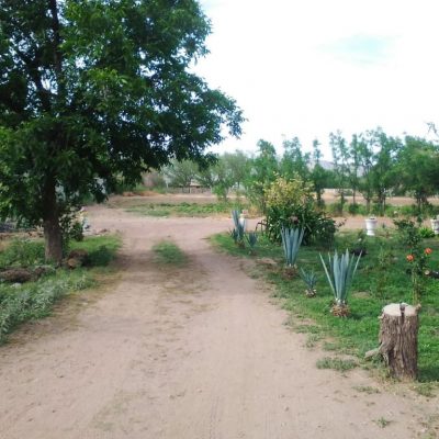 Pequeña Propiedad con escrituras, Area Urbana de Villa Juarez, Dgo.,