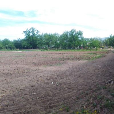 Pequeña Propiedad con escrituras, Area Urbana de Villa Juarez, Dgo.,