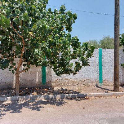 Terreno en Villa Jardín, Lerdo, Dgo.,  Av. las Rosas, entre Begonias y Azucenas