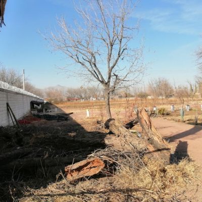 Pequeña Propiedad con escrituras, Area Urbana de Villa Juarez, Dgo.,