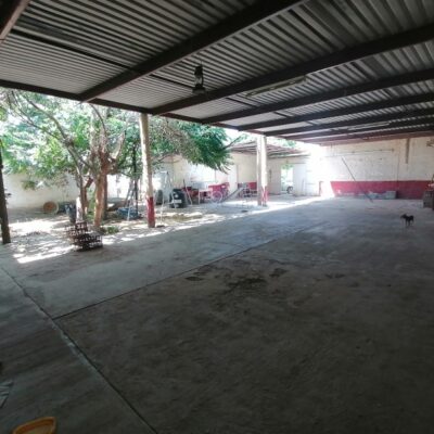 Terrenos Bardados y con techumbre, 3 lotes juntos, Col. Nueva Laguna Norte
