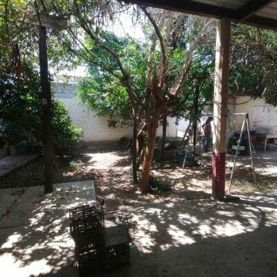 Terrenos Bardados y con techumbre, 3 lotes juntos, Col. Nueva Laguna Norte