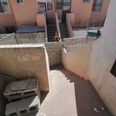 Depto. planta alta, Fracc. Cerrado Quintas la merced , atras de la PVC.